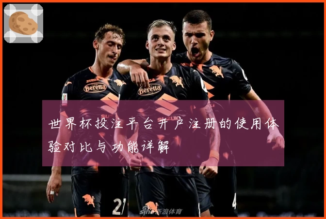 世界杯投注平台开户注册的使用体验对比与功能详解