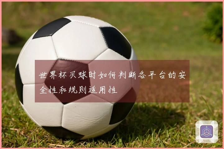世界杯买球时如何判断各平台的安全性和规则适用性