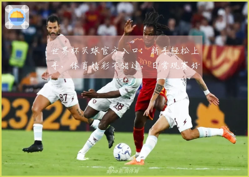 世界杯买球官方入口：新手轻松上手，体育精彩不错过，日常观赛好伙伴