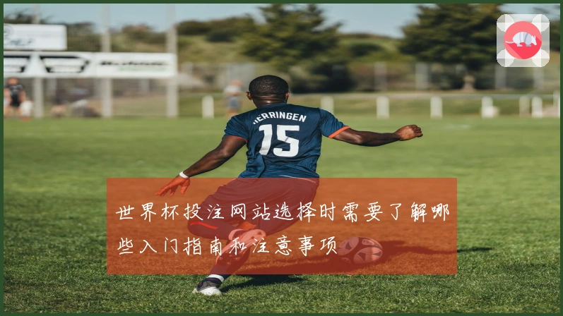 世界杯投注网站选择时需要了解哪些入门指南和注意事项