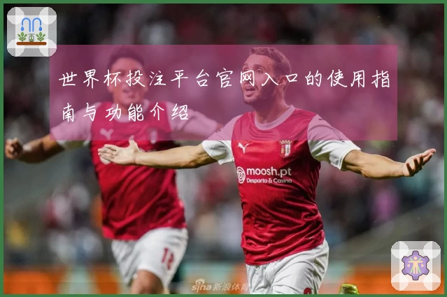 世界杯投注平台官网入口的使用指南与功能介绍