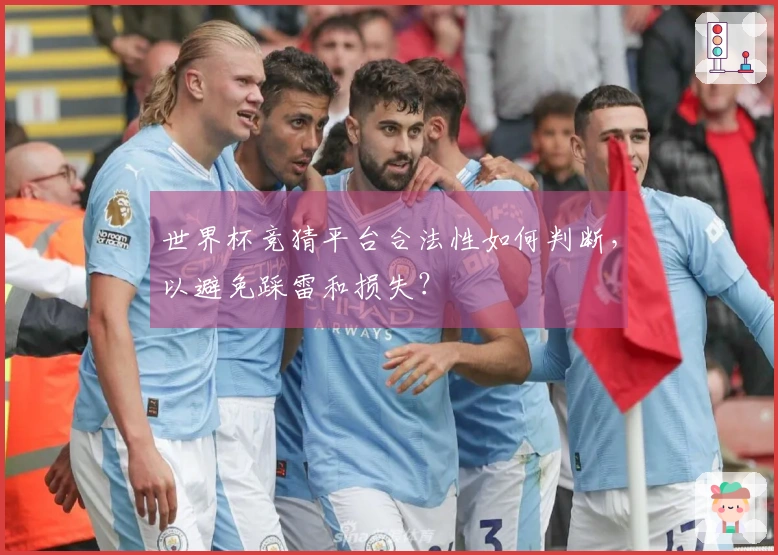 世界杯竞猜平台合法性如何判断，以避免踩雷和损失？