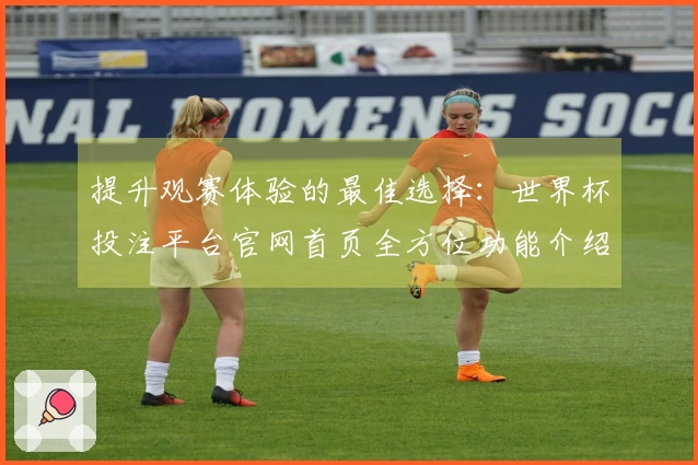 提升观赛体验的最佳选择：世界杯投注平台官网首页全方位功能介绍与使用指南