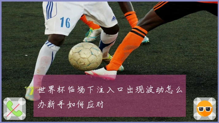 世界杯临场下注入口出现波动怎么办新手如何应对