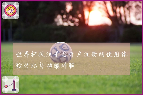 世界杯投注平台开户注册的使用体验对比与功能详解