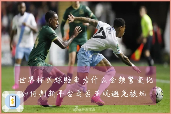世界杯买球赔率为什么会频繁变化 如何判断平台是否正规避免被坑