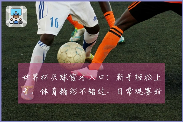 世界杯买球官方入口：新手轻松上手，体育精彩不错过，日常观赛好伙伴